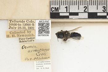 Media type: image;   Entomology 790536 Aspect: Labels